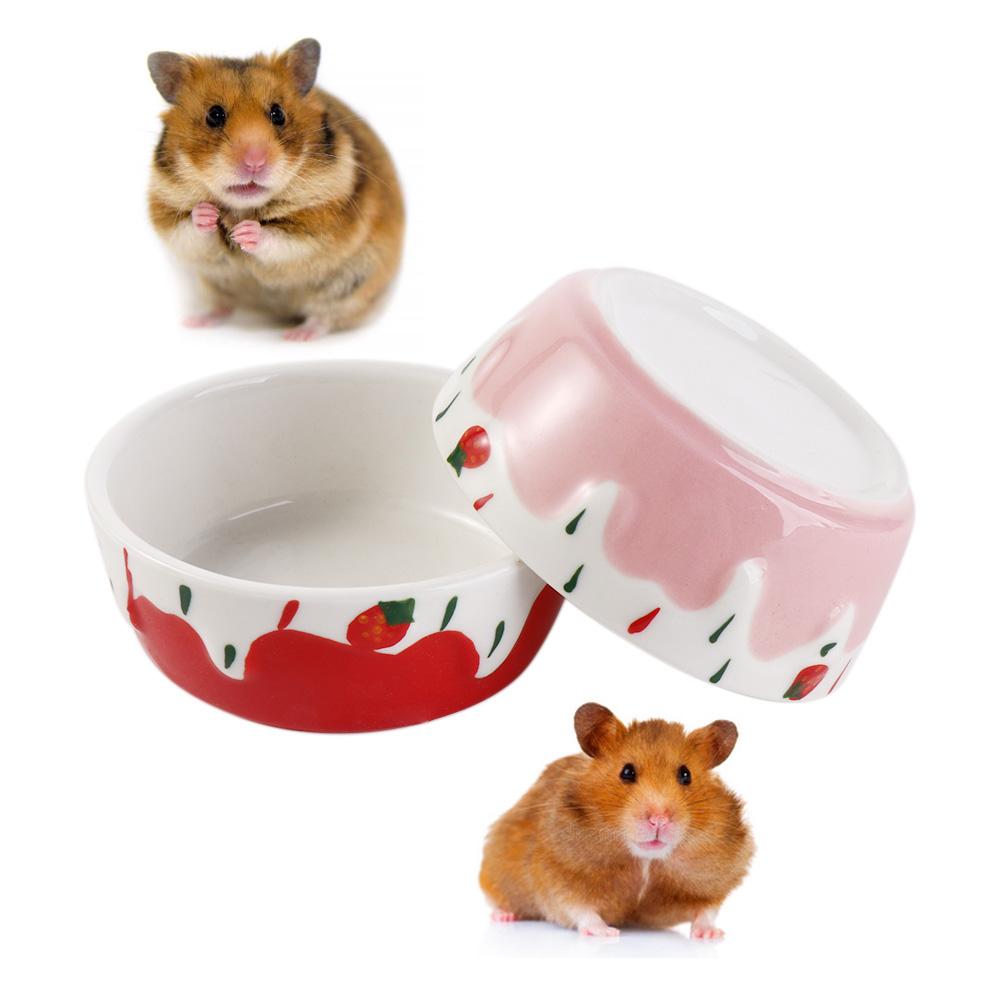 Baby Food Gerber - Hedgehog Ferret Gerbil Chinchilla Ceramic Feeding